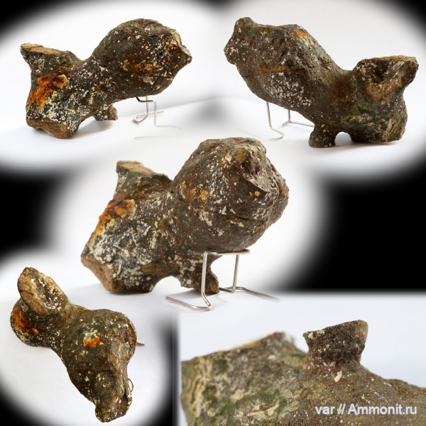 губки, Самарская область