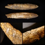 Белемнит в кристаллах. Городищи 2025