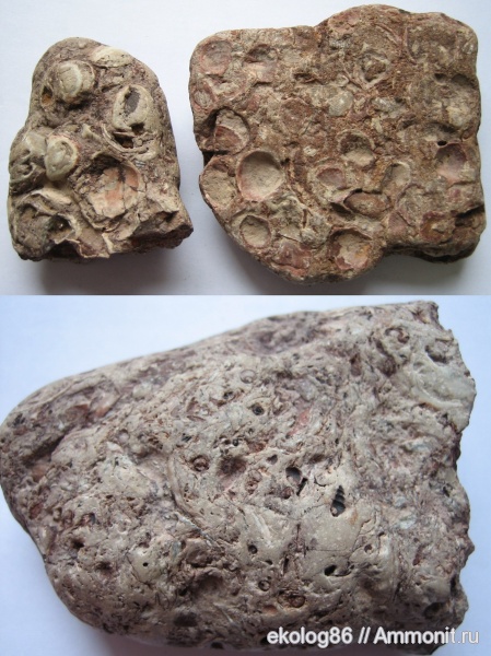 Ильменский глинт