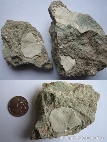 Ильменский глинт