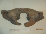Шейный позвонок  (атлант)  мамонта (Mammuthus primigenius)