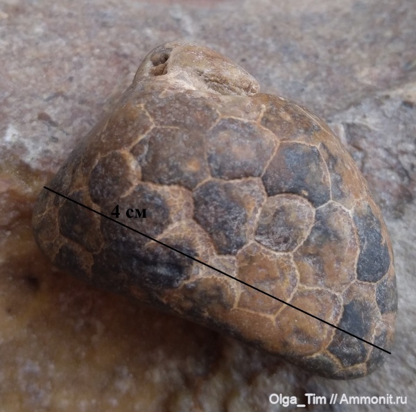 Помощь в определении