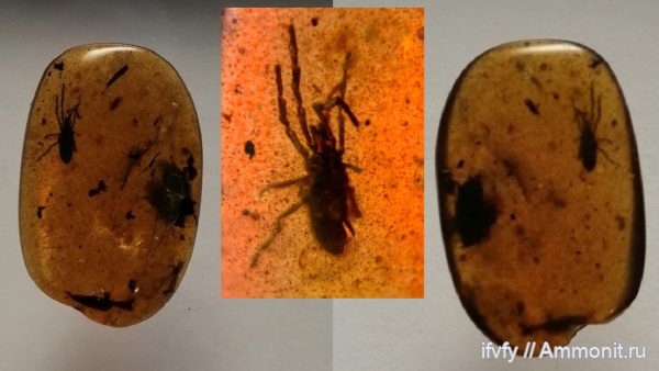 янтарь, Бирма, бирмит