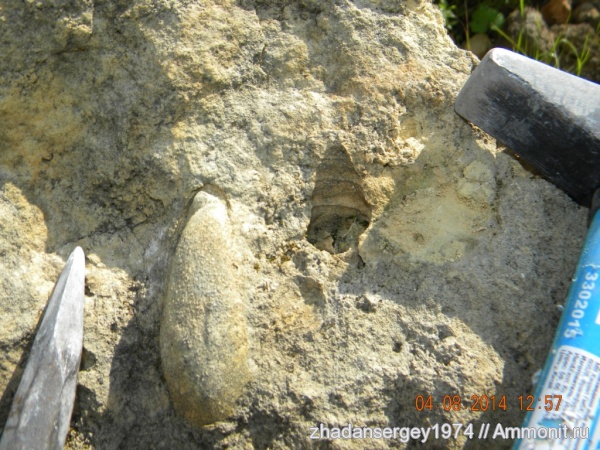 пермь, Ивановская область, Легковский карьер, Permian