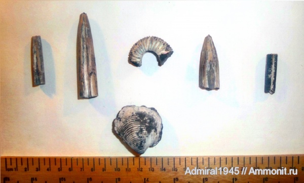 Москва; отвалы