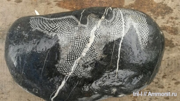 Якутия, Верхоянь