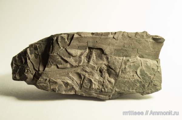 Мои находки