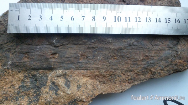 Мои находки