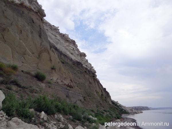 Нижняя Банновка