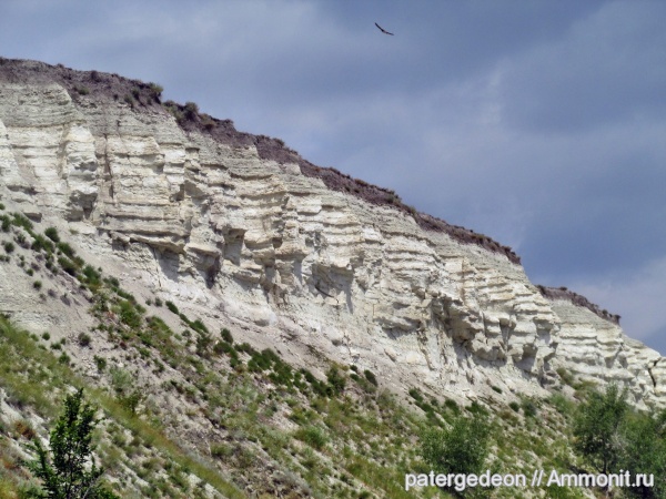 мел, Нижняя Банновка