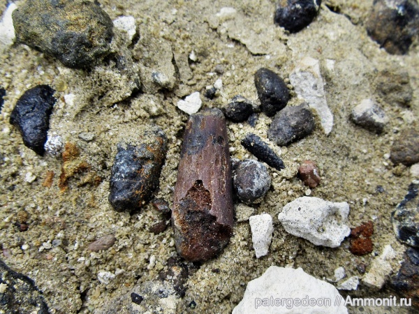 верхний мел, Пудовкино