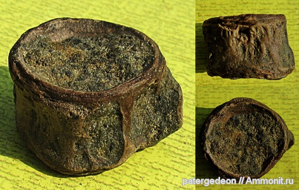 верхний мел, сеноман, позвонки, Пудовкино