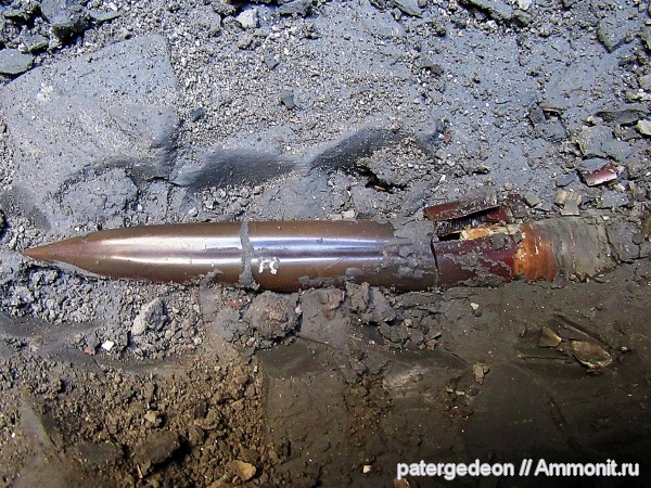 белемниты, келловей, фрагмоконы, Callovian, Middle Jurassic, belemnites