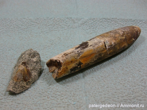 кампан, Мизино-Лапшиновка