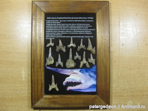 кампан, Карякино