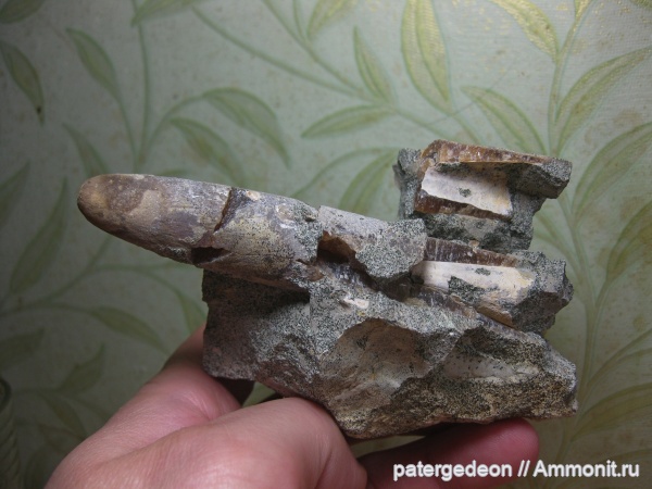 кампан, Мизино-Лапшиновка