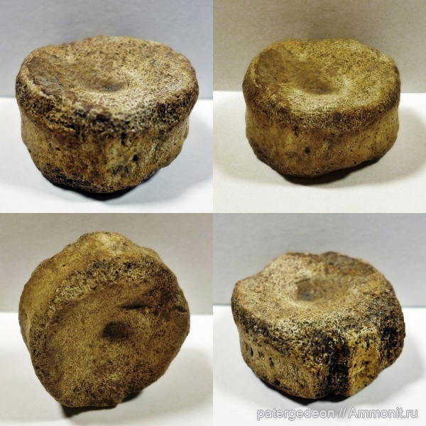 келловей, Мордовия