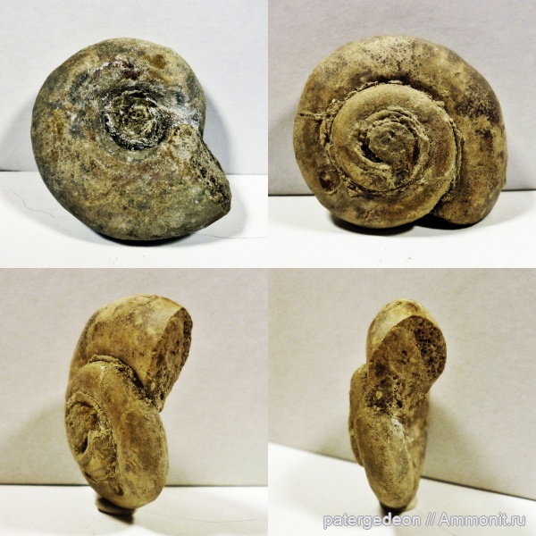 верхний оксфорд, Мордовия