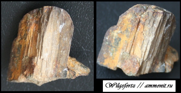 мел, верхний мел, Белоруссия, Меловые Горы, Гродно, Cretaceous, Upper Cretaceous