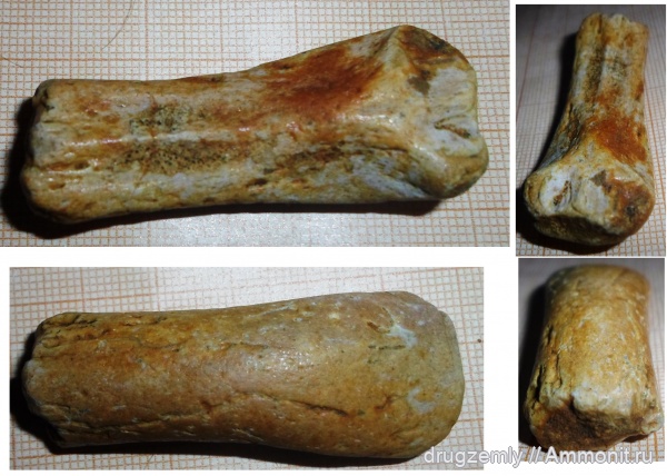 класпер химеры, clasper spine, frontal clasper