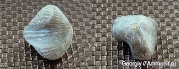 Из разных мест