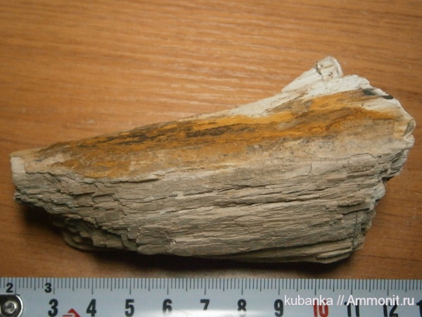 юра, мел, мезозой