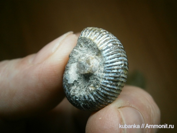 юра, мезозой