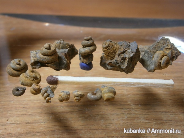 юра, мезозой, средняя юра