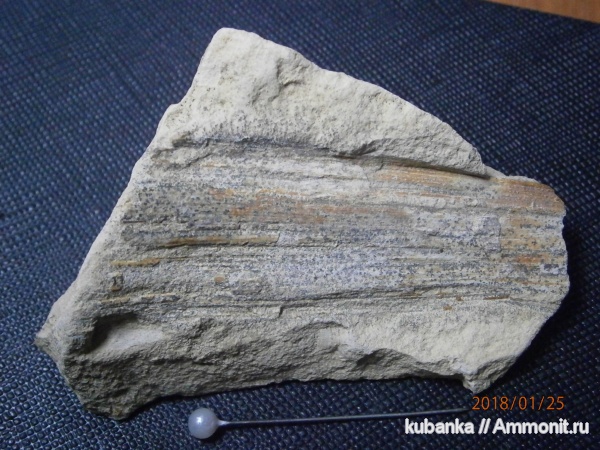 пермь, палеозой