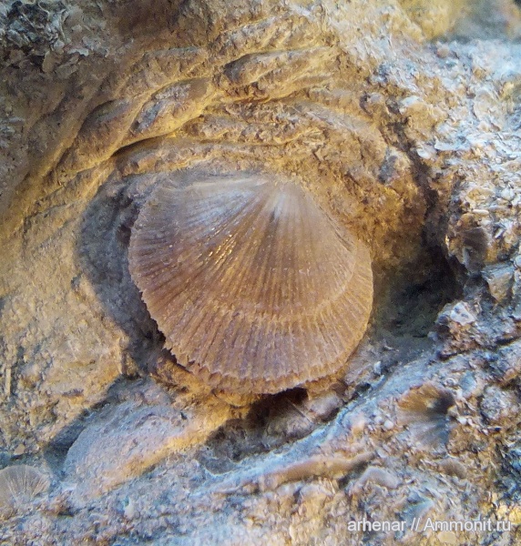 Каньон реки Лава, первая поездка.