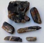 гетероморфные аммониты