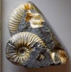 Фрагмент - 4