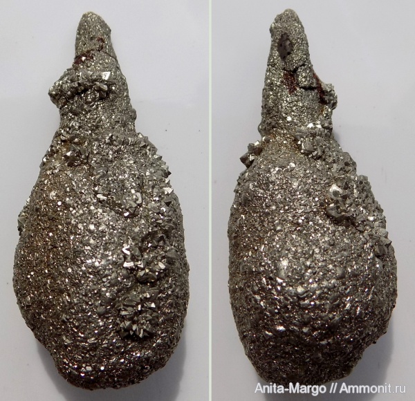 белемниты, ростры