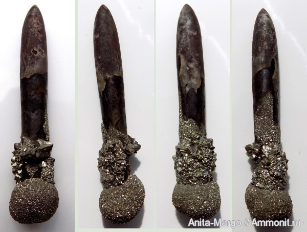 белемниты, ростры