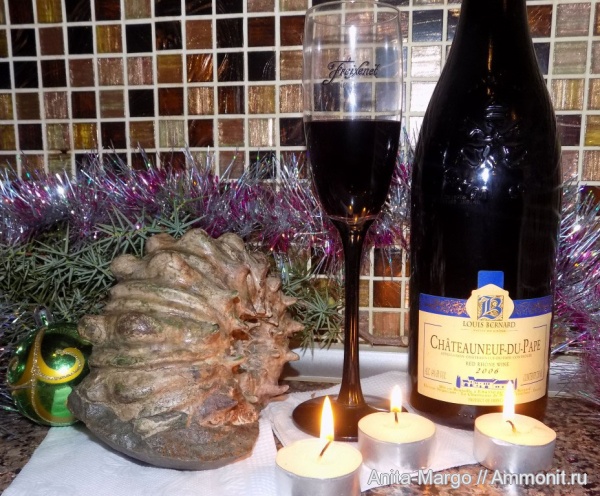 аммониты, Epicheloniceras