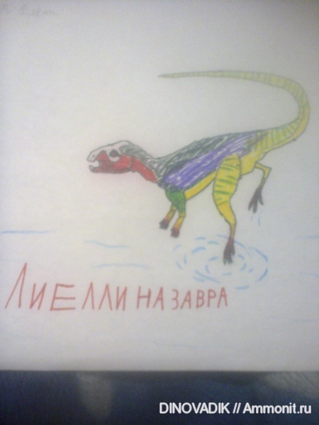 динозавры, Австралия