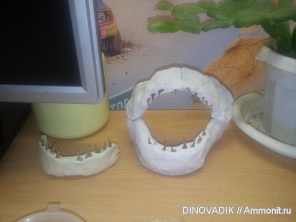 акулы, Варавинский овраг