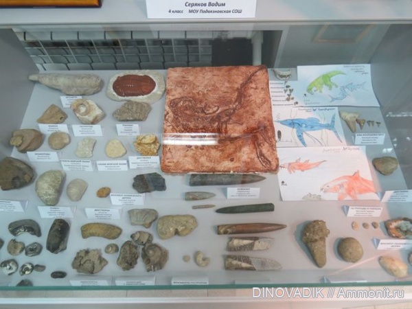 мезозой, палеозой, выставки, кайнозой