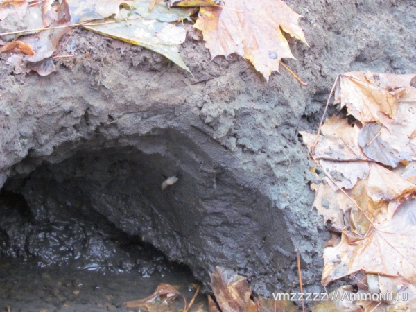 Филевский парк