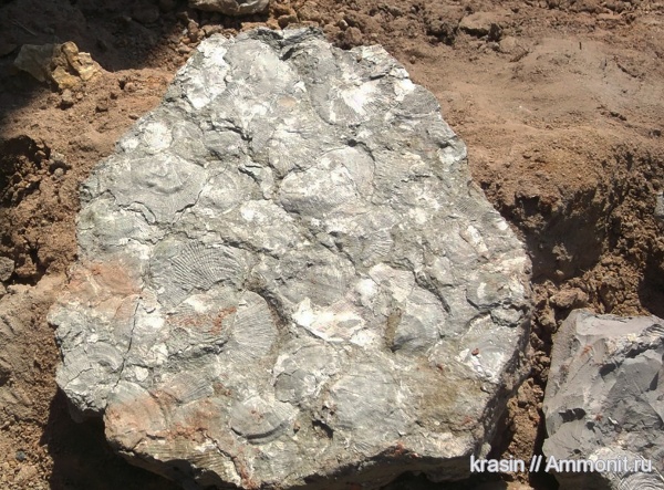 карбон, Гжель