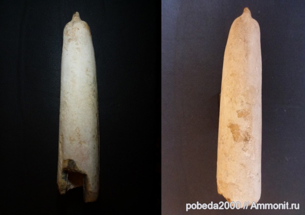 с. Григоровка