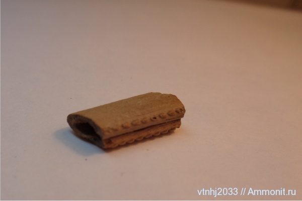 мел, рыбы, шипы, ихтиодорулиты, fish