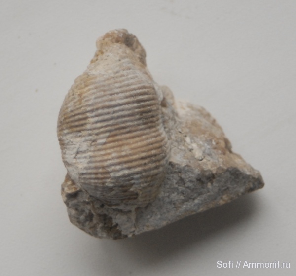 Башкирские Шиханы