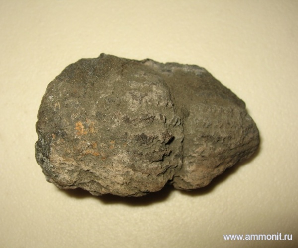 губки, Sphenaulax, Лопатинский рудник