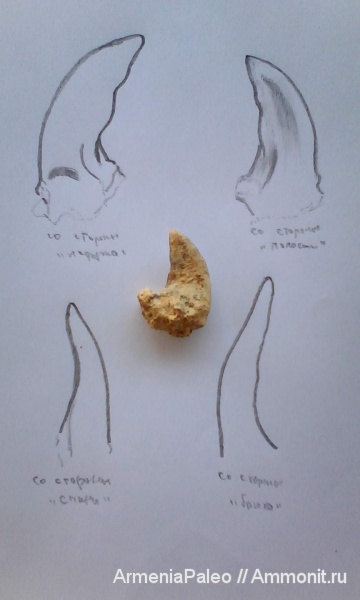 Урцский хребет