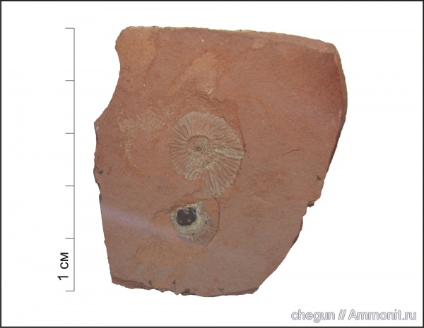 Яблоново-Врагское местонахождение