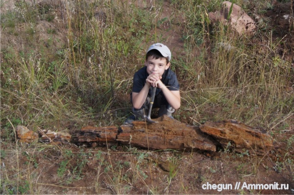 Самарская область, Шенталинский район