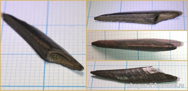 сеноман, плавниковые шипы, Пудовкино