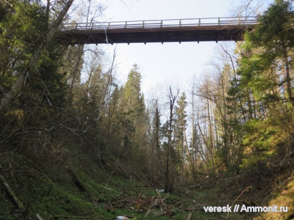 Звенигород и его окрестности