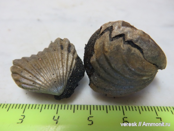 Филевский парк